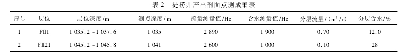 表 2 提撈井產(chǎn)出剖面點測成果表