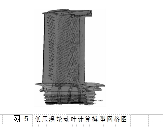 圖 5	低壓渦輪動(dòng)葉計(jì)算模型網(wǎng)格圖